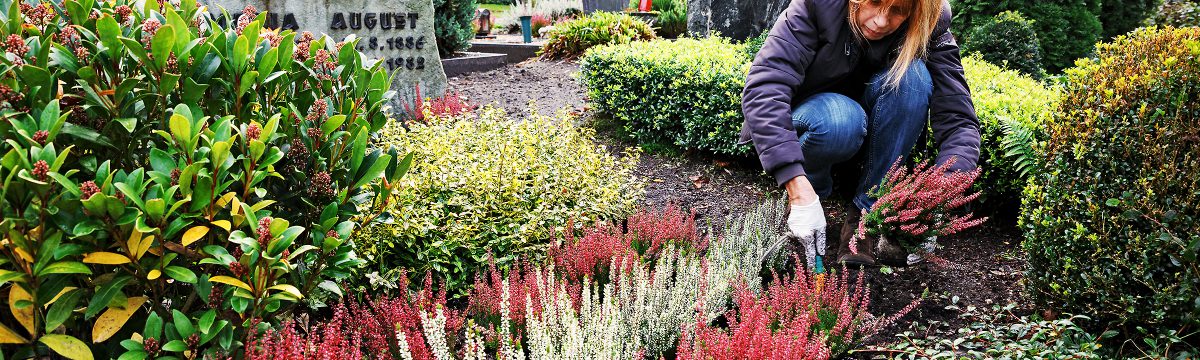 Grabpfleger & Friedhofsgärtner in Griesheim